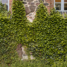 grabow_norden_portal