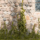 klobbicke_zugesetztes_porta