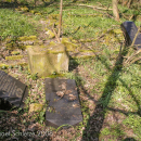 Knoblauch_Friedhof_4