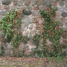 Schmiedeberg_Kirche_Detail