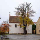 calau_landkirche_norden-2