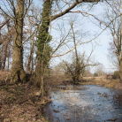 gross_welle_motte_detail_sueden