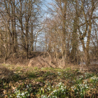gross_welle_motte_fruehling