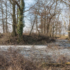 gross_welle_motte_osten