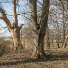 gross_welle_motte_plateau